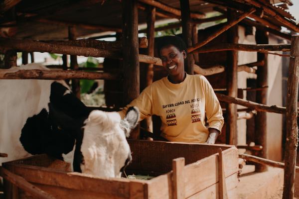 Rwandan lady and her cow