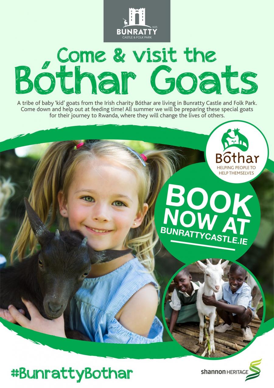 Bunratty Goats Poster