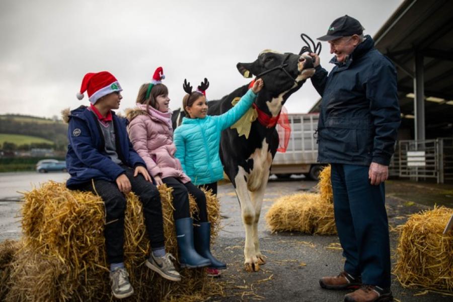 Roscrea Mart 1