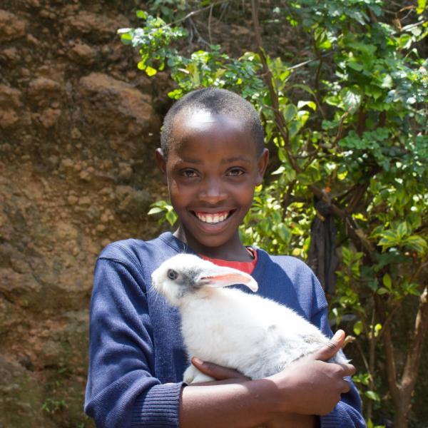 Share of rabbits