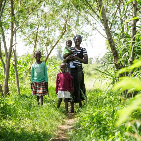 Gift of a Tree plantation