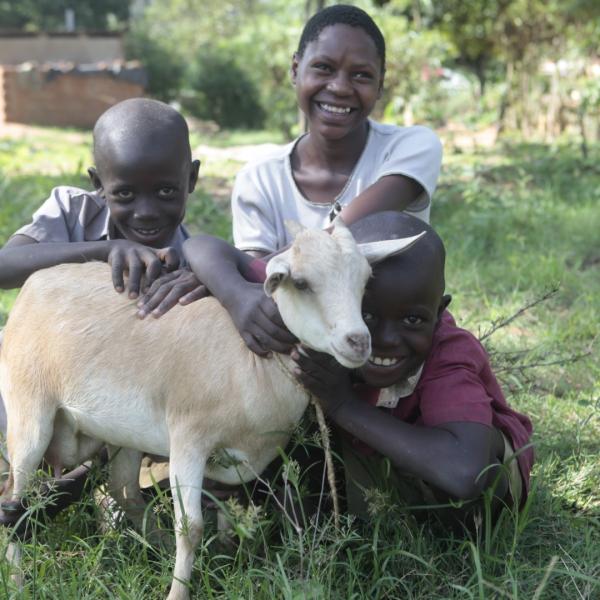 Gift of an in-kid dairy goat