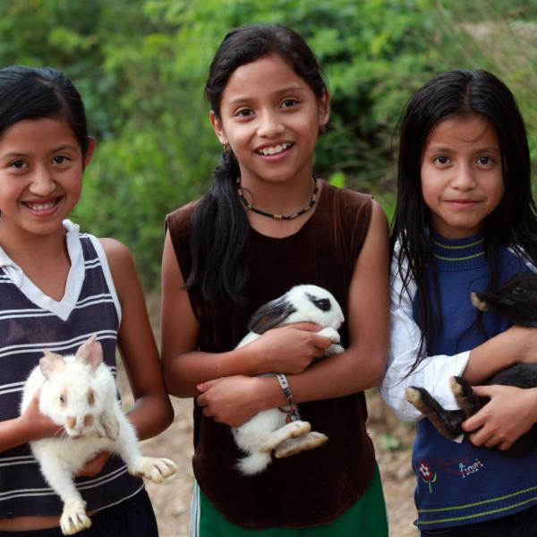 Gift of a trio of rabbits