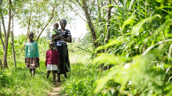 Gift of a Tree plantation