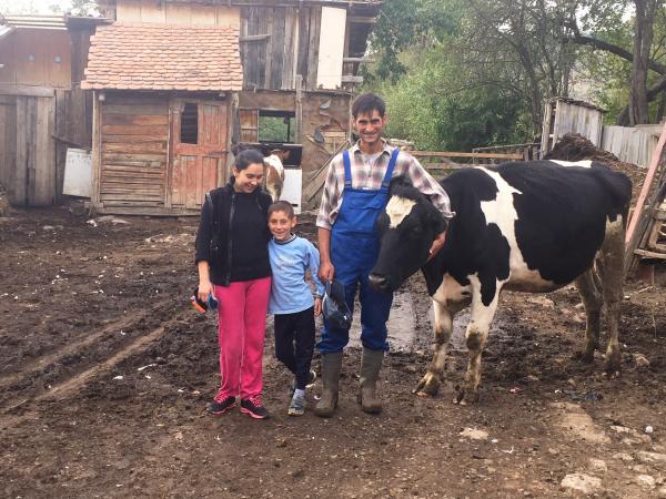 Heifer Romania