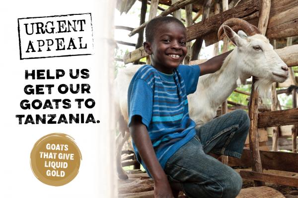 Tanzanian Goat Appeal News