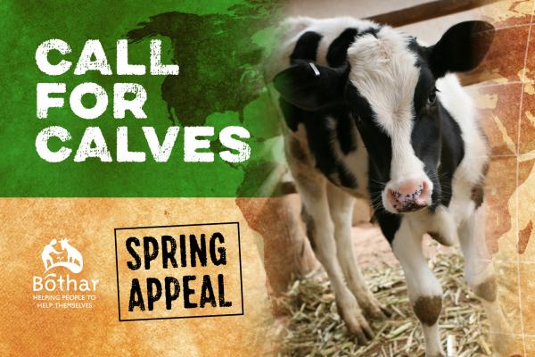 Call for Calves 2021