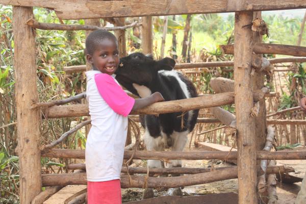 Rwandan girl and her calf