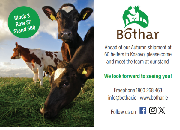 Bothar Ploughing 2023