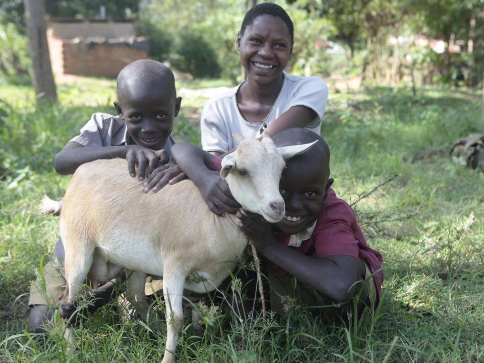 Gift of an in-kid dairy goat