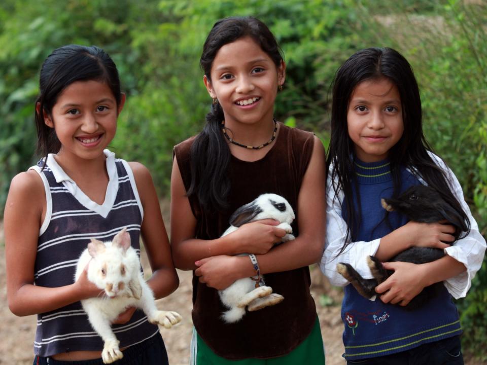 Gift of a trio of rabbits