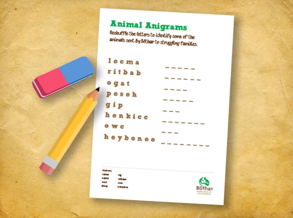 Animal Anagrams