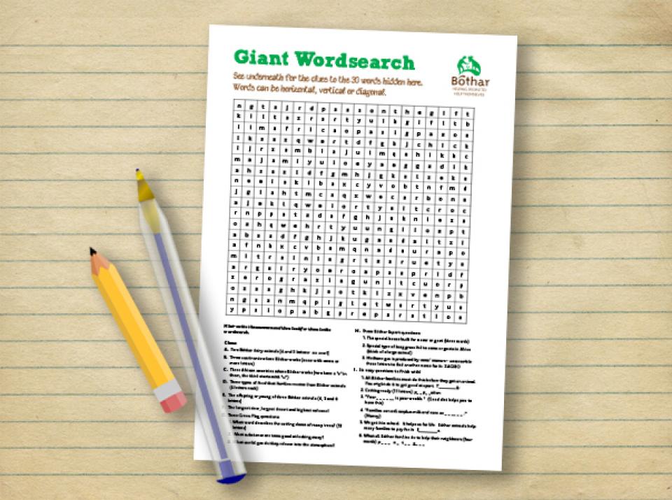 Giant Wordsearch