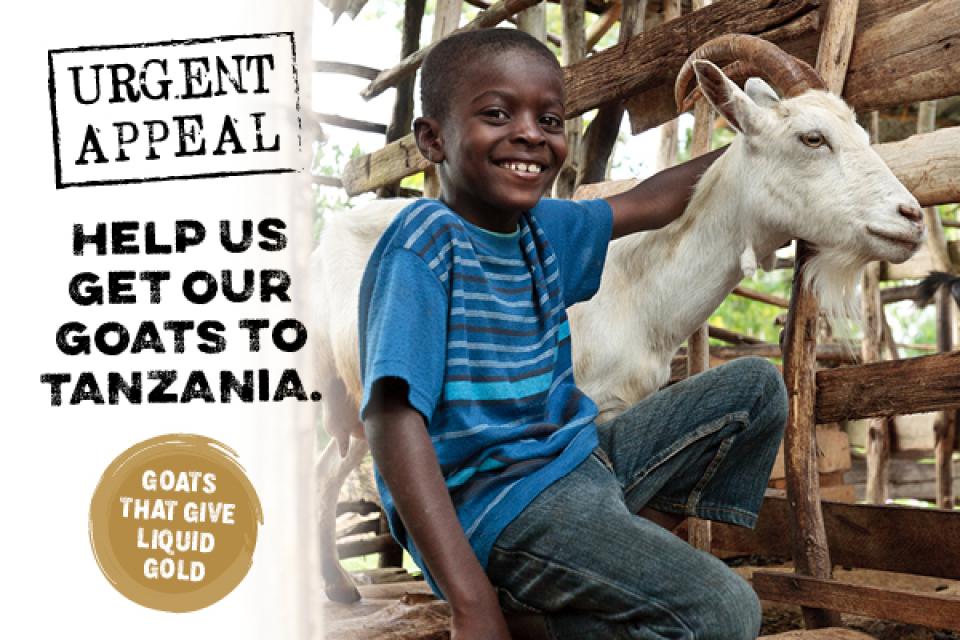 Tanzanian Goat Appeal Donation