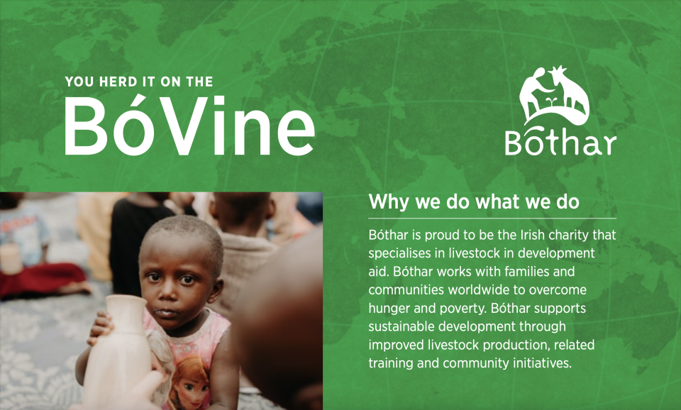 Image from BóVine newsletter 2022
