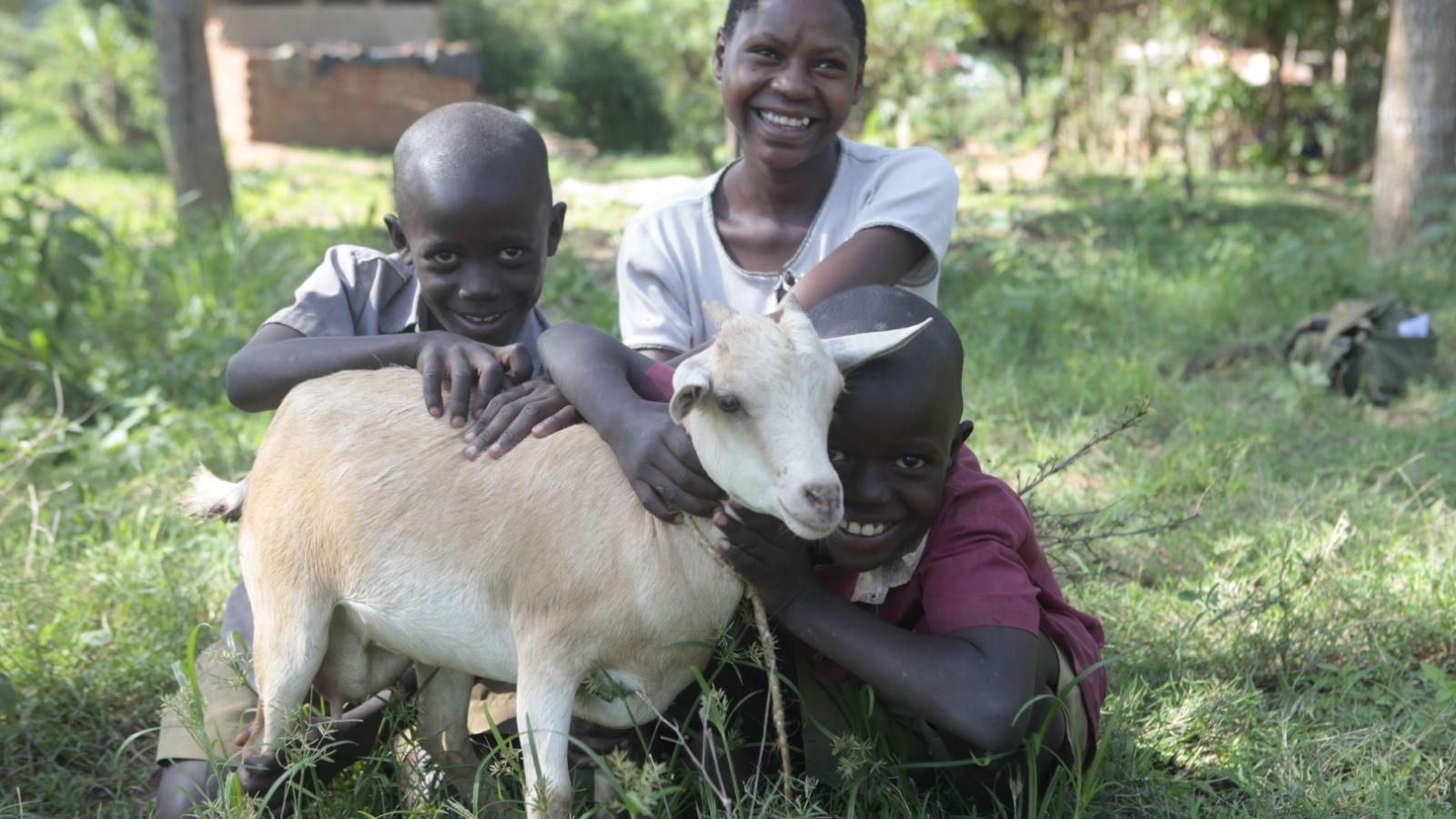 Gift of an in-kid dairy goat