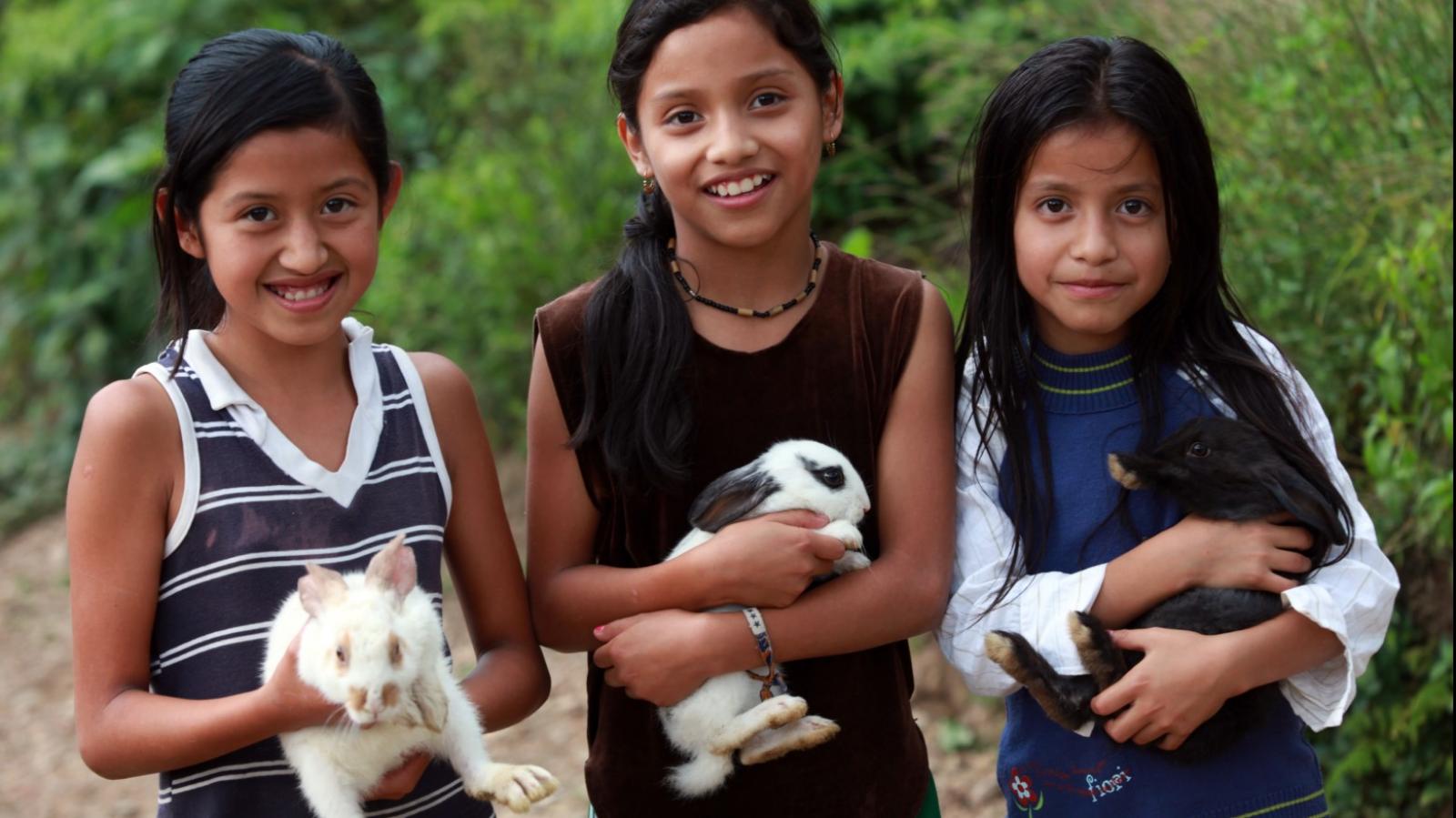 Gift of a trio of rabbits