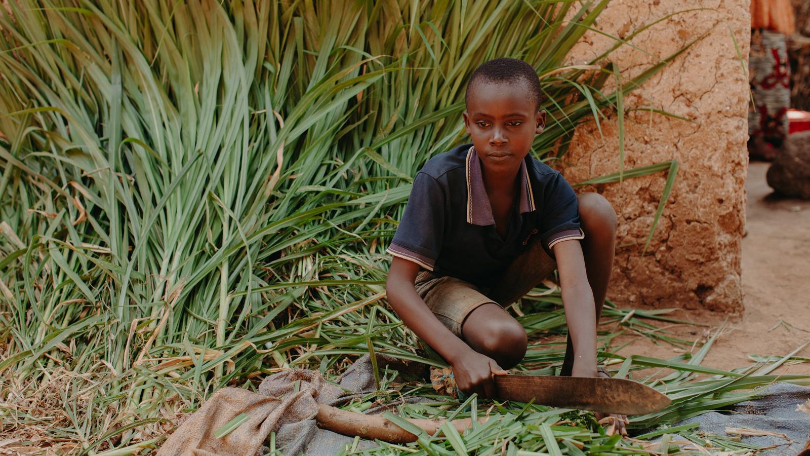 Chopping Elephant Grass