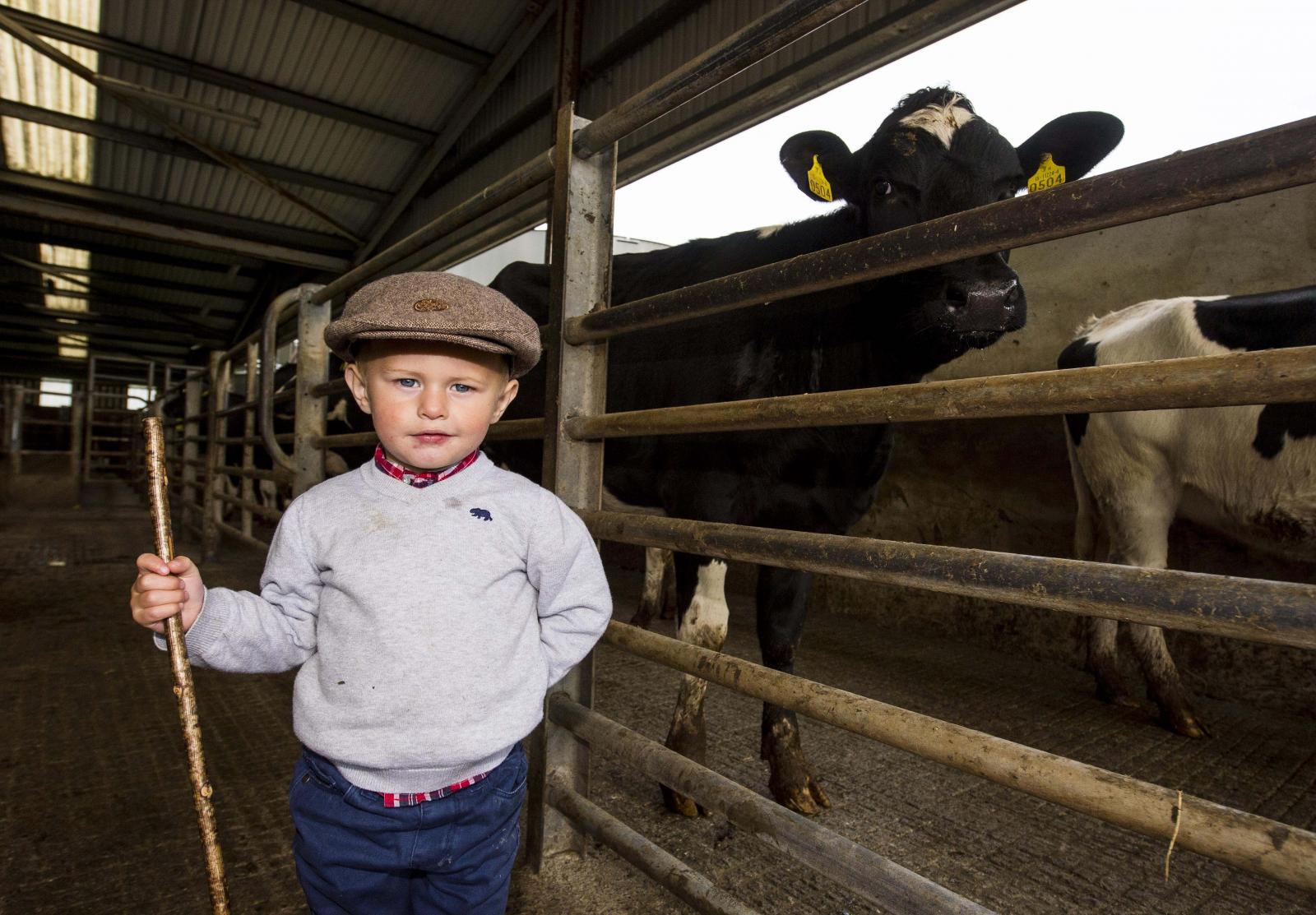 Boy With Cow