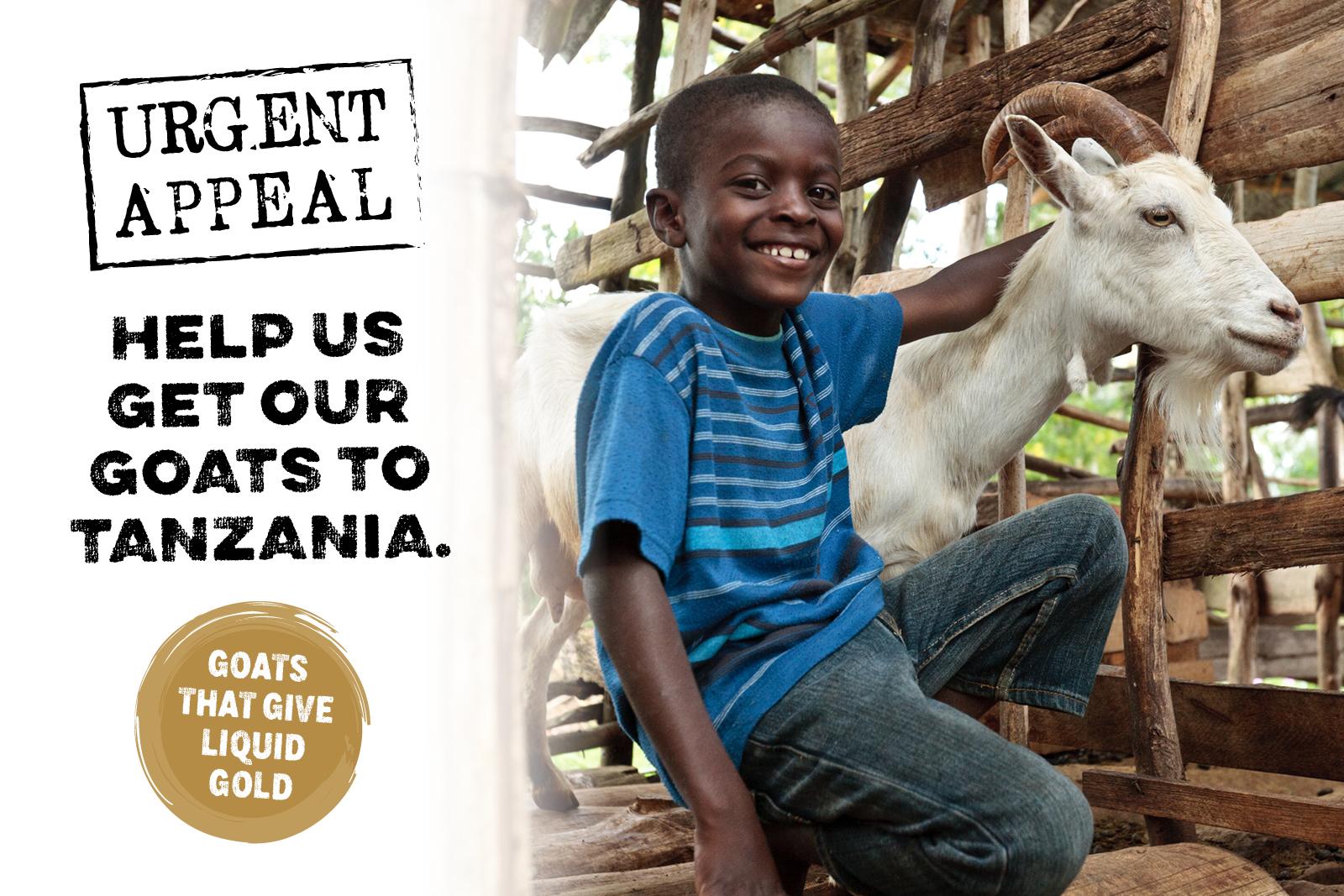 Tanzanian Goat Appeal News