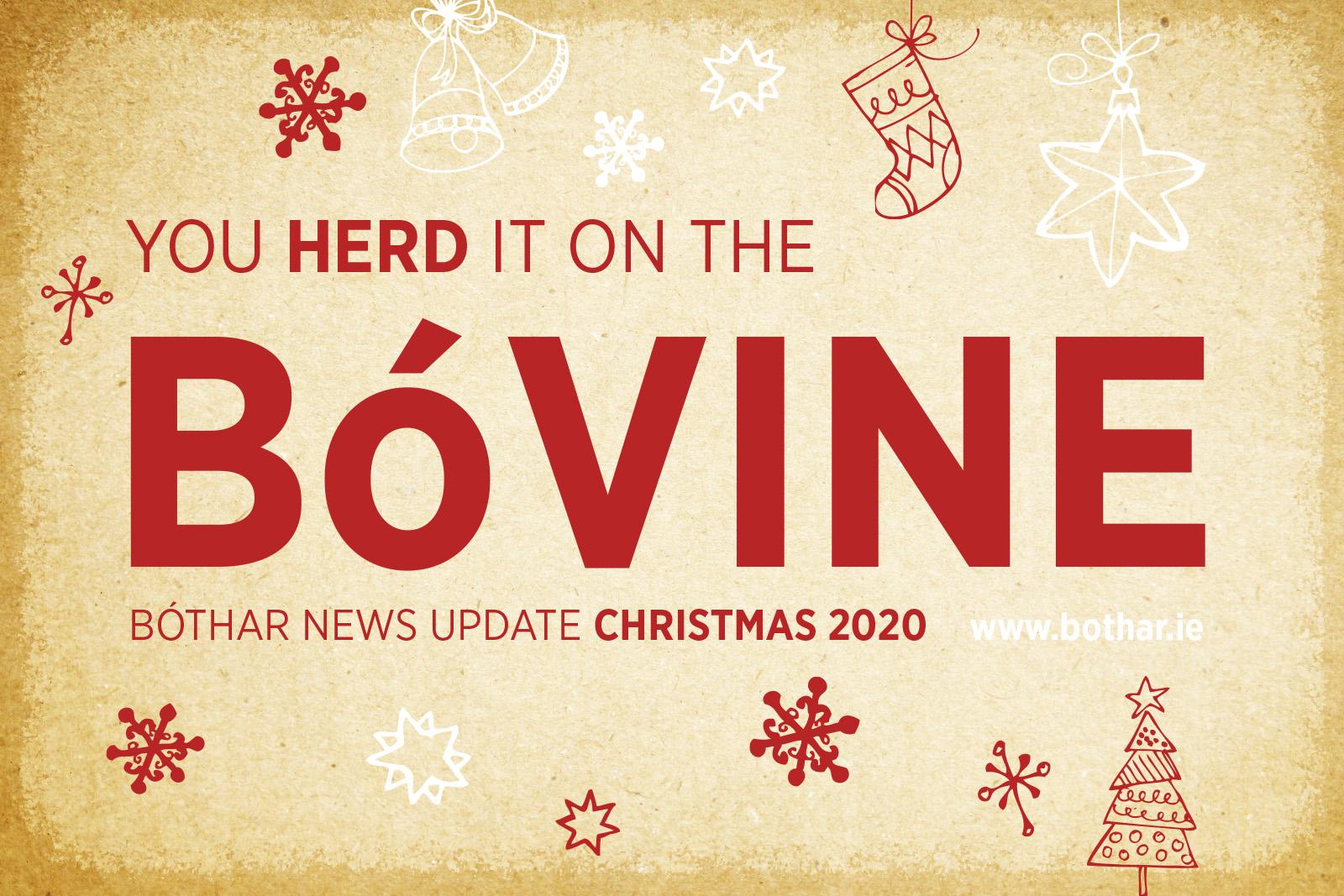 Christmas BoVine