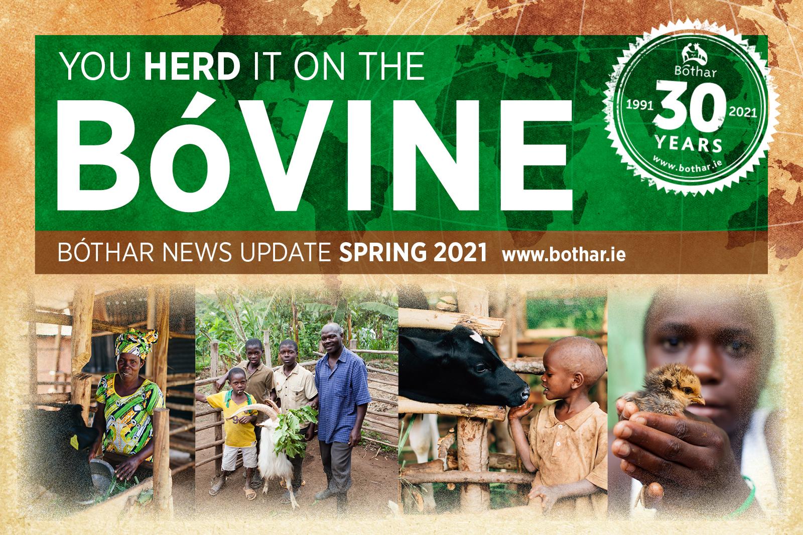 Spring BóVine 2021 News