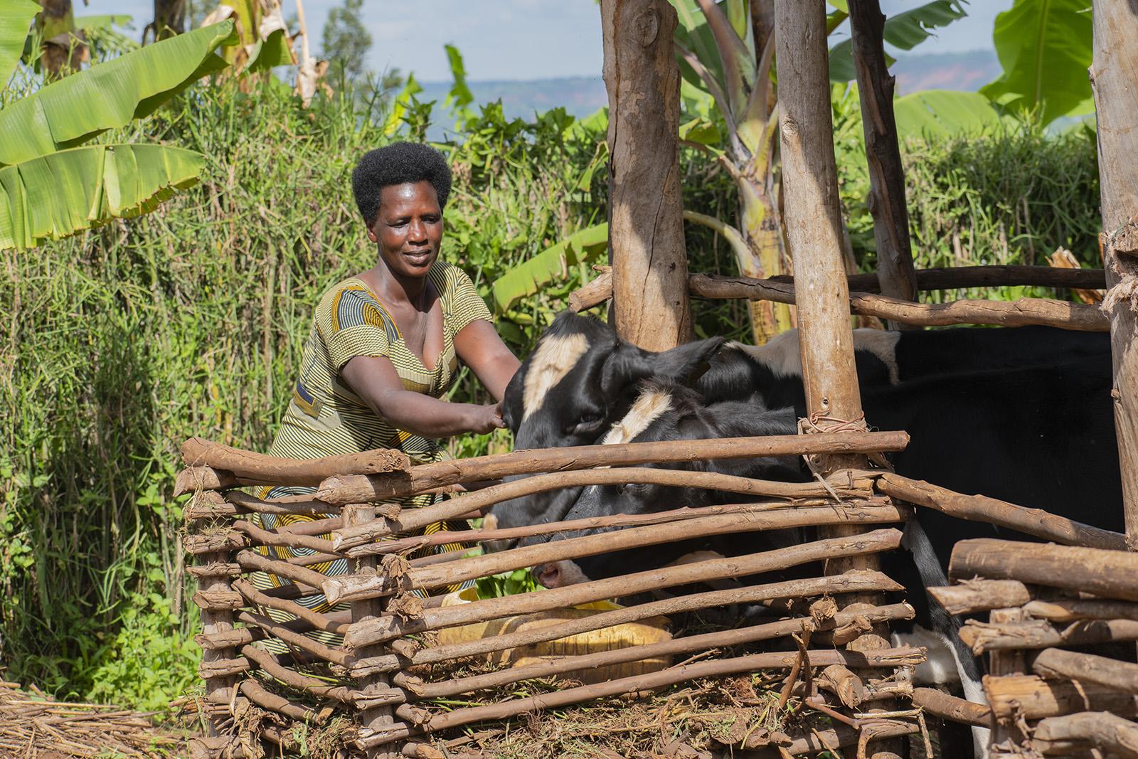 Consolee with her Cow in Rwanda